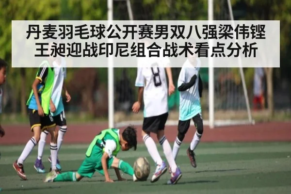 丹麦羽毛球公开赛男双八强梁伟铿王昶迎战印尼组合战术看点分析